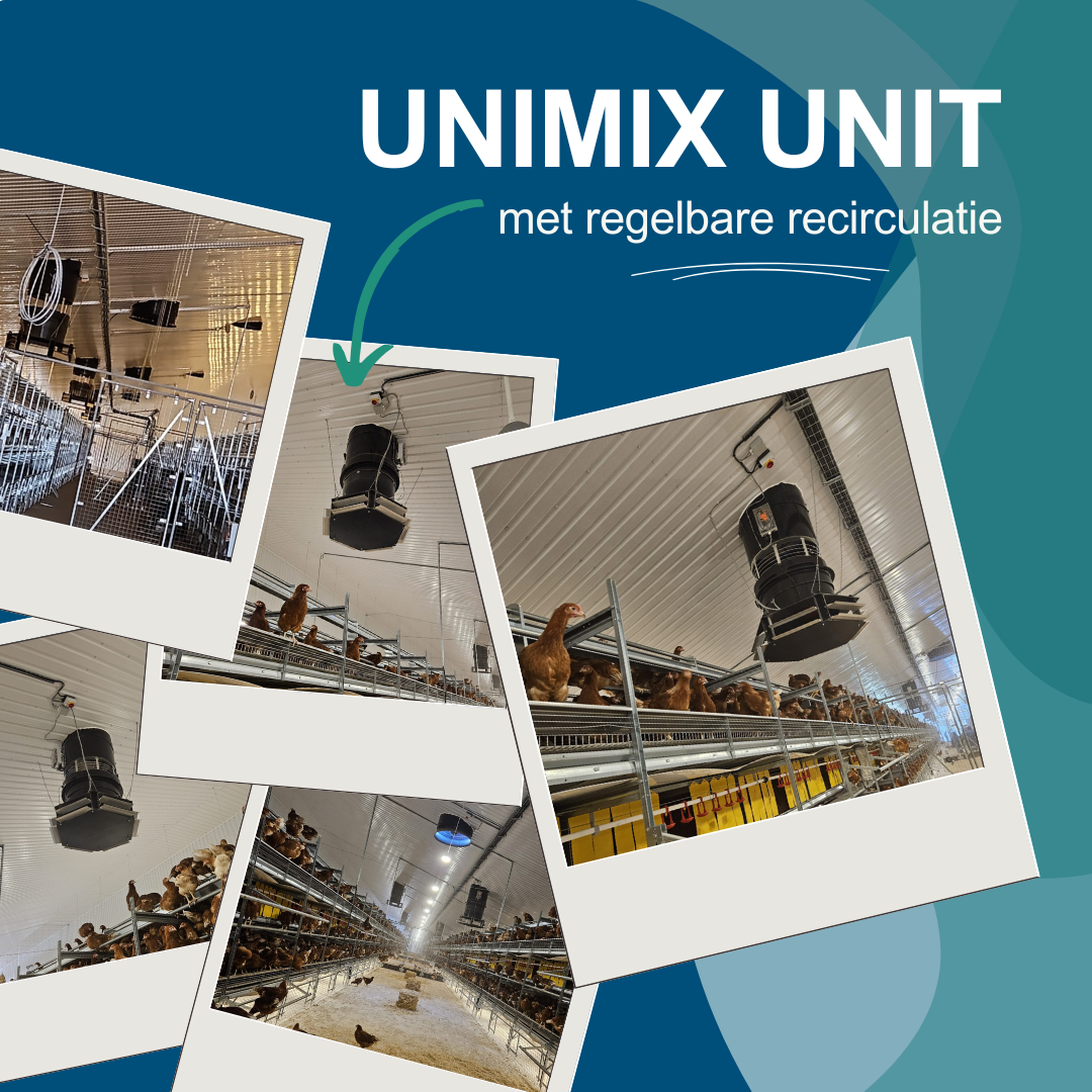 Project in the spotlights Unimix